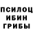 Псилоцибиновые грибы Cubensis Zuhridin Zokirov