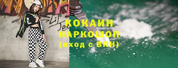 индика Волоколамск