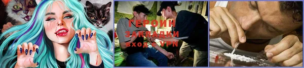 ГАЛЛЮЦИНОГЕННЫЕ ГРИБЫ Верхний Тагил