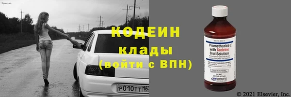 индика Волоколамск