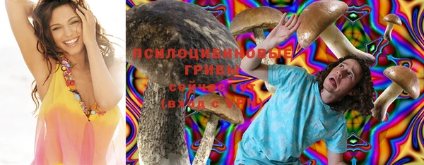 mix Вяземский