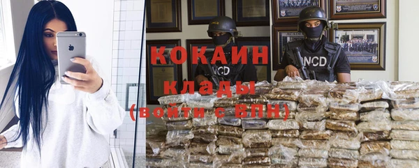 индика Волоколамск